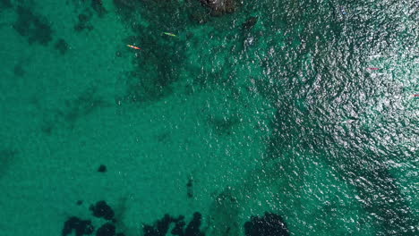 Top-aerial-shot-of-people-in-kayaks-mediterranean-sea-coast-of-Marseille-clear
